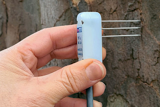 Sap Flow Sensors