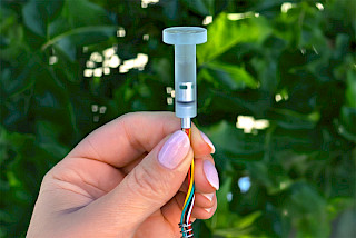 Strem water potential sensor