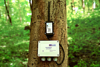 Internet of plants
