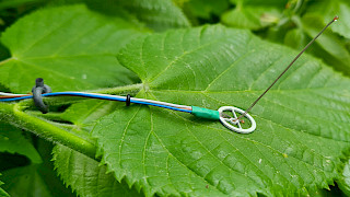 Bild Slider Blatttemperatur