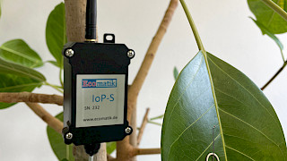 IoP-S mit Blatttemperatursensor