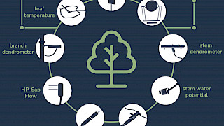 IoP - Internet of Plants