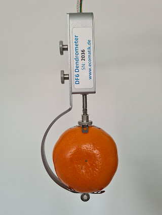 Fruit dendrometer DF6