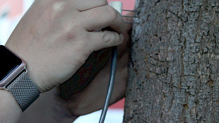 Bild Slider Saftflusssensoren