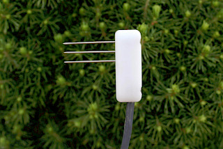 Bild Slider Saftflusssensoren