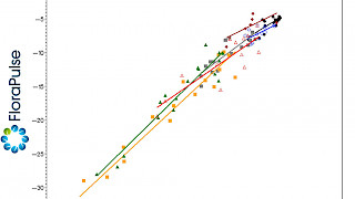 Bild Slider Stamm-Wasserpotential