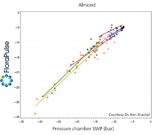 Bild Slider Stamm-Wasserpotential